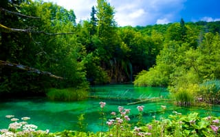 Картинка Плитвицкие озера, Национальный парк Плитвицкие озера, деревья, пейзаж, Хорватия
