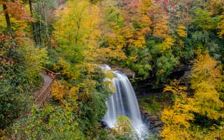 Картинка лес, водопад, природа, осень, деревья, пейзаж