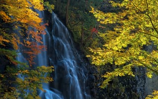 Картинка лес, осень, деревья, скалы, природа, водопад