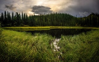 Картинка Denali national park, закат, деревья, пейзаж, лес, Аляска, водоём