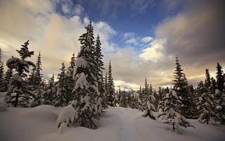 Обои Национальный парк Банф, закат, зима, Канада, горы, пейзаж, деревья