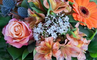 Обои Красивый букет, красочный, флора, букет, цветы, оригинальный, цветочный, цветок, цветочная композиция, праздничный букет