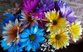 Обои Красивый букет, хризантемы, цветы, цветок, букет, праздничный букет, цветочный, флора, цветочная композиция, красочный, оригинальный