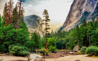 Обои Yosemite National Park, горы, пейзаж, Йосемитский национальный парк, деревья, Калифорния, США
