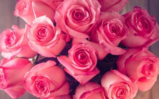 Картинка букет, розы, розовые, лепестки, цветы, бутоны
