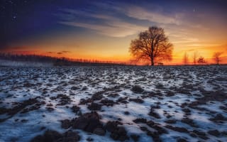 Картинка закат, снег, дерево, пейзаж, пашня, поле