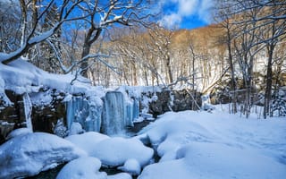 Картинка зима, лес, деревья, снег, природа, водопад