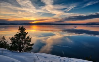 Картинка Hvervenbukta, море, дерево, пейзаж, зима, Акерсхус, небо, Хвервенбукта, Норвегия, закат, Norway
