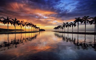 Картинка Miami, пейзаж, Флорида, небо, сумерки, закат, Майами, отражение, океан, море, пальмы