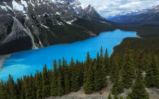 Картинка Peyto Lake, Banff National Park, пейзаж, озеро, лес, деревья, горы, Национальный Парк Банф, Озеро Пейто, скалы, Alberta, Canada