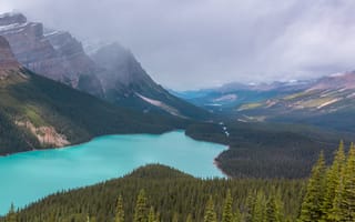Картинка Peyto Lake, деревья, Canada, озеро, пейзаж, лес, скалы, Alberta, Озеро Пейто, Национальный Парк Банф, горы, Banff National Park