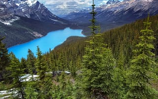 Картинка Peyto Lake, озеро, Banff National Park, деревья, горы, пейзаж, Озеро Пейто, скалы, лес, Alberta, Canada, Национальный Парк Банф