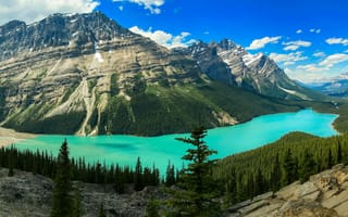 Картинка Peyto Lake, Национальный Парк Банф, озеро, Озеро Пейто, лес, Alberta, скалы, горы, деревья, Banff National Park, Canada, пейзаж