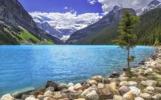 Картинка Озеро Луиз, озеро, Alberta, Lake Louise, пейзаж, Канада, Fairview Mountain, скалы, деревья, горы