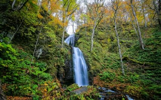 Картинка осень, деревья, природа, лес, водопад, скалы
