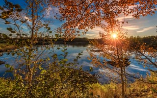 Картинка осень, озеро, природа, лес, пейзаж, закат солнца, деревья