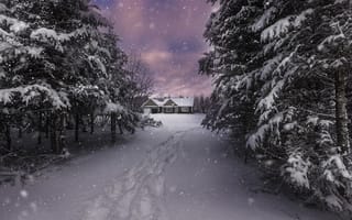 Картинка зима, лес, дорога, природа, пейзаж, дом, деревья, сугробы, следы, снег, на воздухе