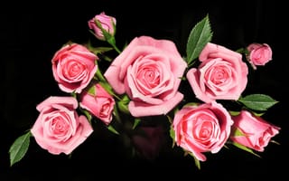 Картинка букет, розовые, розы