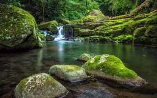 Картинка West Canungra Creek Circuit, камни, Национальный парк Ламингтон, река, пейзаж, природа, водопад, Lamington National Park, лес, деревья