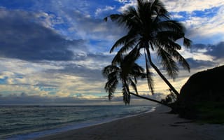Картинка Пляж Лаломану, Lalomanu Beach - Upolu Island, Samoa, Самоа, море, Остров Уполу, берег, пальмы, небо, пейзаж