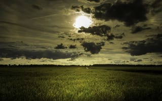 Картинка природа, тучи, солнце, облака, трава