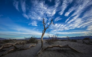 Картинка Мескитовые плоские песчаные дюны, небо, Калифорния, пустыня, природа, Долина Смерти, пейзаж