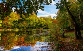 Картинка Keston, England, лес, водоём, осень, пейзаж, Кестон, Англия, природа, деревья