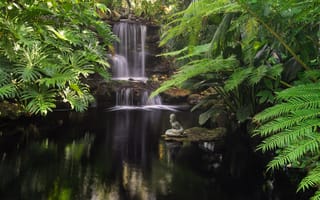 Картинка Водопад Селби-Гарденс, природа, парк, водоём, пейзаж, тропики, водопад, штат Флорида, окружен тропическими растениями