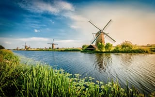 Картинка голландские ветряные мельницы, Роттердам, канал, растения, Нидерланды, пейзаж, закат солнца, природа, трава