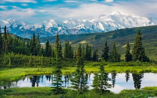 Картинка Аляска, дневной свет, пейзаж, вода, природа, горы, отражение, деревья
