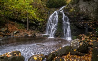 Картинка Spruce Flat Falls, осень, водопад, деревья, лес, пейзаж, Great Smoky Mountains National Park, природа, водоём