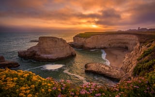 Картинка Санта Круз, закат, скалы, волны, море, цветы, берег, солнца, пейзаж, Калифорния