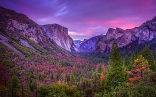 Картинка Национальный парк Йосемити, Калифорния, пейзаж, California, горы, деревья, Yosemite National Park, закат