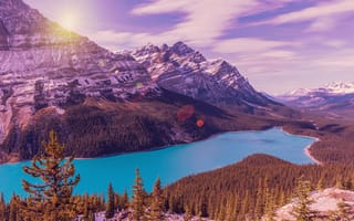 Картинка Peyto Lake, лес, Alberta, озеро, Озеро Пейто, Национальный Парк Банф, горы, пейзаж, скалы, деревья, Canada, Banff National Park