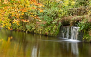 Картинка осень, водоём, лес, водопад, пейзаж, деревья