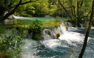 Обои Плитвицкие озера, Хорватия, лес, Croatia, деревья, водопад, Plitvice Lakes national park, пейзаж, река, Национальный парк Плитвицкие озера