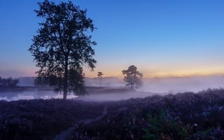 Картинка закат, поле, Гельдерланд, природа, туман, озеро, пейзаж, водоём, Нидерланды, деревья