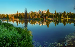 Картинка ели, озеро, Национальный парк Гранд-Титон