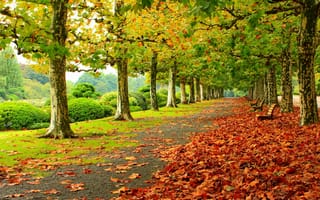 Картинка осень, лавочка, листья, пейзаж, парк, дорога, деревья