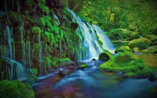 Картинка водопад, деревья, лес, зелёный, речка, пейзаж, Япония, камни, природа, мох