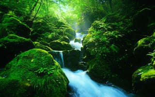 Картинка водопад, камни, речка, лес, мох, деревья, Япония, природа, зелёный, пейзаж