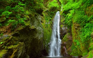 Обои зелёный, Япония, водопад, природа, мох, речка, лес, деревья, пейзаж, камни