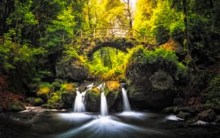 Картинка Woodfairy Bridge, Schiessentumpel waterfall, Nature Park Mellerdall, Luxemburg