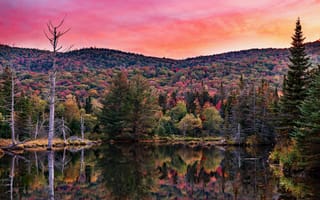 Картинка Национальный Лес Белой Горы, природа, Нью-Гемпшир, пейзаж, водоём, закат