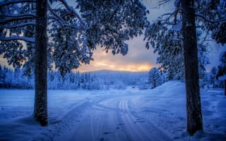 Обои закат, дорога, зима, пейзаж, деревья, снег, лес