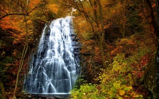 Обои водопад, осень, скала