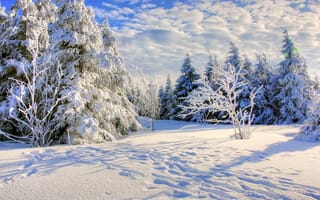 Картинка зима, пейзаж, снег, сугробы, облака, небо, деревья, природа