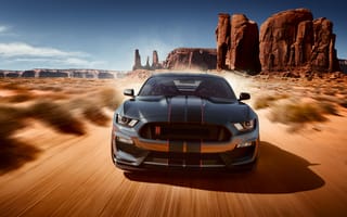 Картинка Ford Mustang, пустыня, Shelby