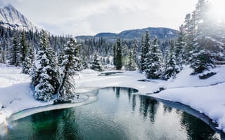 Обои Национальный парк Банф, деревья, водоём, озеро, природа, Альберта, снег, Канада, пейзаж, горы зима, сугробы