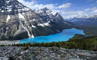 Картинка Peyto Lake, лес, Banff National Park, озеро, пейзаж, горы, деревья, Canadian Rockies